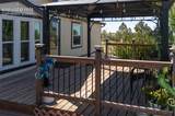 12050 Blaney Road - Photo 2