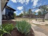 4770 Newton Drive - Photo 42