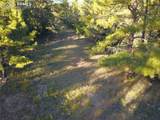 19S Old Crow Path - Photo 16
