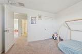 10105 Castor Drive - Photo 28