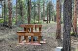 1721 Wildhorn Road - Photo 43