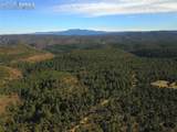 000 Ponderosa Trail - Photo 1