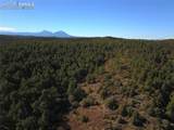 000 Ponderosa Trail - Photo 11