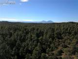 000 Ponderosa Trail - Photo 12