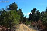 000 Ponderosa Trail - Photo 2