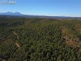 000 Ponderosa Trail - Photo 3