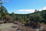 000 Ponderosa Trail - Photo 4