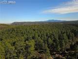 000 Ponderosa Trail - Photo 5