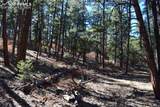 000 Ponderosa Trail - Photo 6
