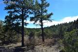 000 Ponderosa Trail - Photo 7