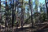 000 Ponderosa Trail - Photo 8
