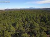000 Ponderosa Trail - Photo 9