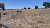 10275 Link Road - Photo 5