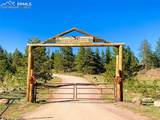  Rosebush Road - Photo 10