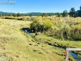  Rosebush Road - Photo 2