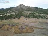  Rosebush Road - Photo 6