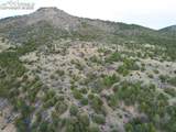  Rosebush Road - Photo 7