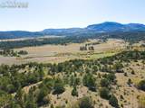  Rosebush Road - Photo 8