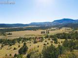  Rosebush Road - Photo 9