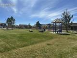 7567 Manistique Drive - Photo 63