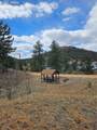635 Sleepy Joe Drive - Photo 38