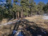 206 Eagles Perch Place - Photo 5
