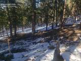 206 Eagles Perch Place - Photo 6