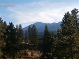 206 Eagles Perch Place - Photo 9