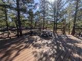 1176 Trail Creek Road - Photo 18