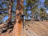 1176 Trail Creek Road - Photo 21