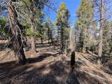 1176 Trail Creek Road - Photo 22