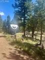1176 Trail Creek Road - Photo 24