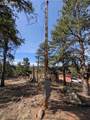 1176 Trail Creek Road - Photo 25