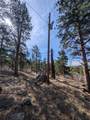 1176 Trail Creek Road - Photo 26