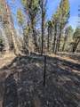 1176 Trail Creek Road - Photo 29
