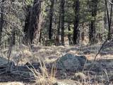 1176 Trail Creek Road - Photo 30