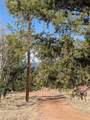 1176 Trail Creek Road - Photo 31