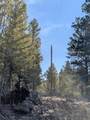 1176 Trail Creek Road - Photo 32