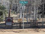 1176 Trail Creek Road - Photo 33