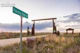 8735 Palomino Ridge View - Photo 50