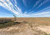 36533 County Road 153 - Photo 39