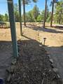 33036 Meadow Ridge Lane - Photo 25