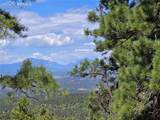 33036 Meadow Ridge Lane - Photo 6