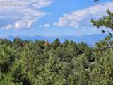 33036 Meadow Ridge Lane - Photo 8