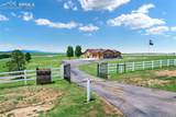 3650 Hare Haven Lane - Photo 16