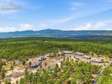 3155 Promise Point - Photo 48