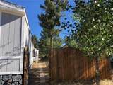 169 Daisy Street - Photo 34