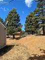 169 Daisy Street - Photo 35