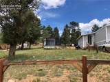169 Daisy Street - Photo 4