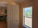 169 Daisy Street - Photo 47